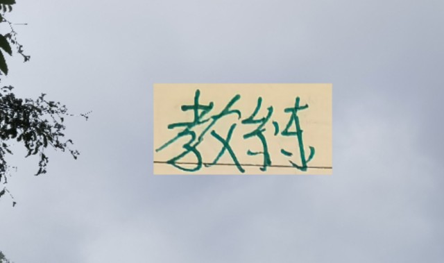 九游娱乐APP-越折腾越能拿冠军 ！五年来海港4次换教练 4夺冠军